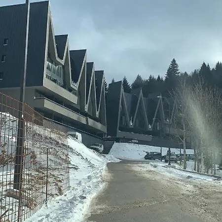 Idrizovic Daire